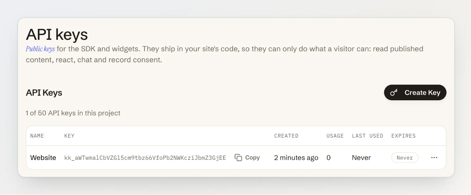 The API keys page with one key, Website, its value and Copy button, created date, usage and expiry